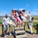 Yarra Valley Wineries to Discover in 2025