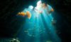Belize Diving: Unearth Hidden Underwater Treasures Beyond Blue Hole
