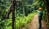 Canopy Tours: Exciting Zip Lining in Belize’s Rainforest